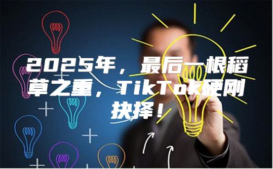 2025年，最后一根稻草之重，TikTok硬刚抉择！