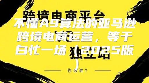 不懂A9算法的亚马逊跨境电商运营，等于白忙一场2025版
