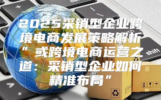 2025采销型企业跨境电商发展策略解析”或跨境电商运营之道：采销型企业如何精准布局”