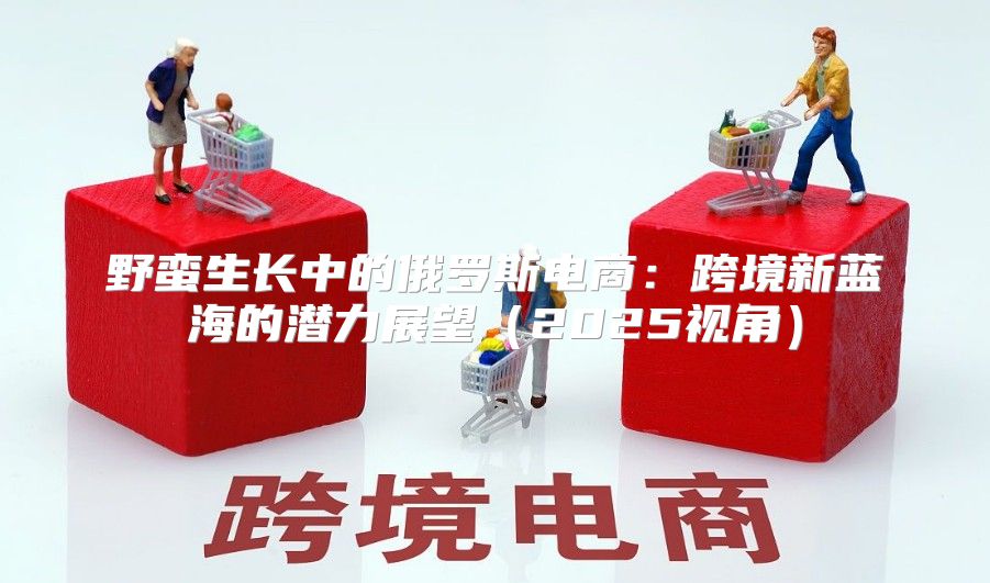 野蛮生长中的俄罗斯电商：跨境新蓝海的潜力展望2025视角