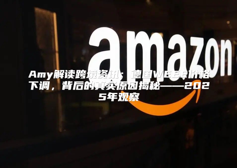 Amy解读跨境资讯：德国WEEE价格下调，背后的真实原因揭秘——2025年观察