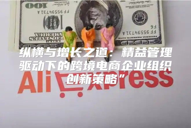 纵横与增长之道：精益管理驱动下的跨境电商企业组织创新策略”