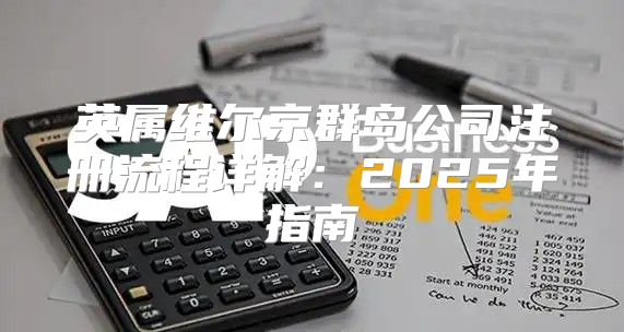 英属维尔京群岛公司注册流程详解：2025年指南