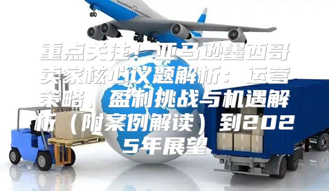 重点关注！亚马逊墨西哥卖家核心议题解析：运营策略、盈利挑战与机遇解析附案例解读到2025年展望