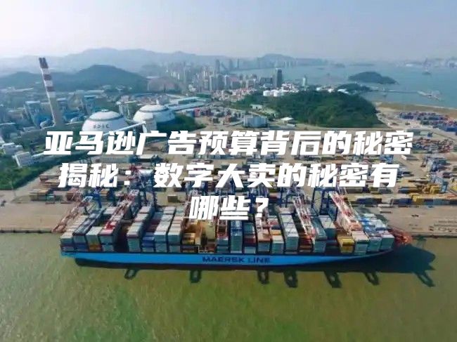 亚马逊广告预算背后的秘密揭秘：数字大卖的秘密有哪些？