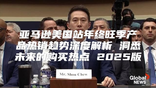 亚马逊美国站年终旺季产品热销趋势深度解析 洞悉未来的购买热点 2025版