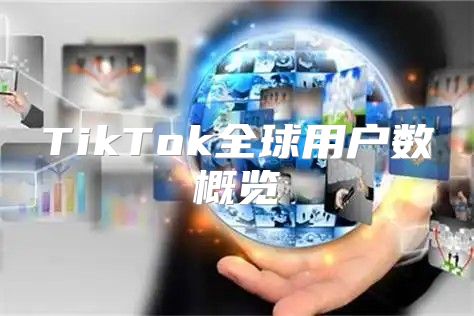 TikTok全球用户数概览