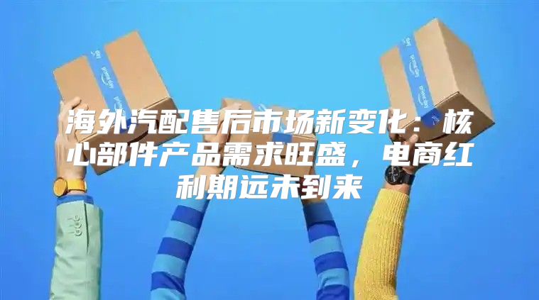 海外汽配售后市场新变化：核心部件产品需求旺盛，电商红利期远未到来