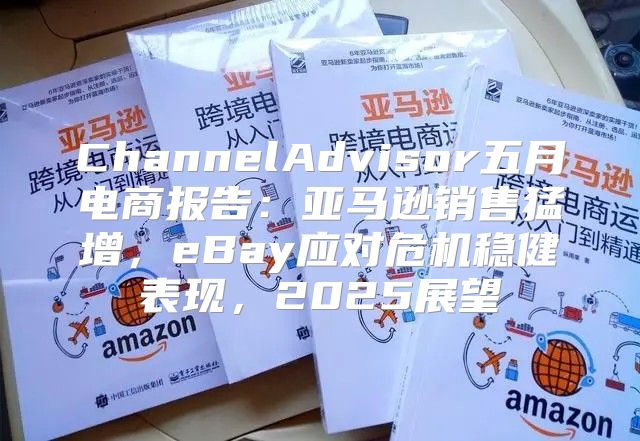ChannelAdvisor五月电商报告：亚马逊销售猛增，eBay应对危机稳健表现，2025展望