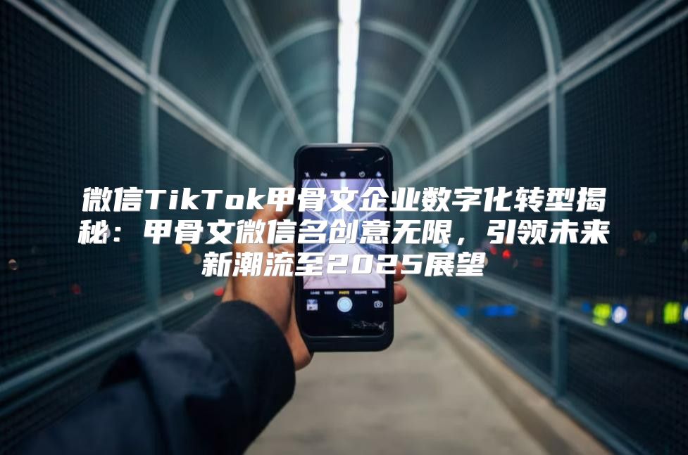 微信TikTok甲骨文企业数字化转型揭秘：甲骨文微信名创意无限，引领未来新潮流至2025展望