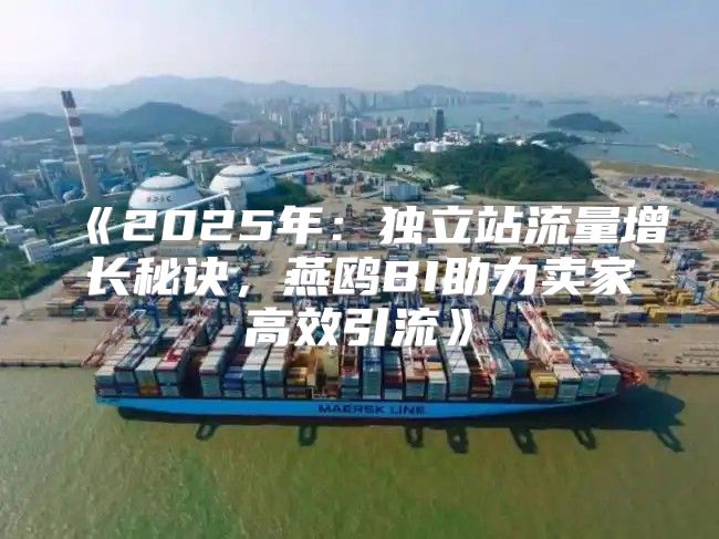 2025年：独立站流量增长秘诀，燕鸥BI助力卖家高效引流