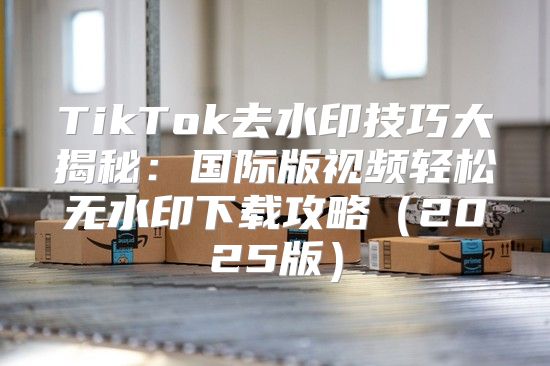 TikTok去水印技巧大揭秘：国际版视频轻松无水印下载攻略2025版