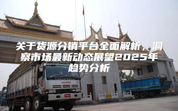 关于货源分销平台全面解析，洞察市场最新动态展望2025年趋势分析