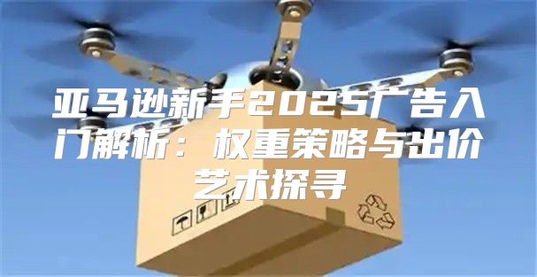 亚马逊新手2025广告入门解析：权重策略与出价艺术探寻