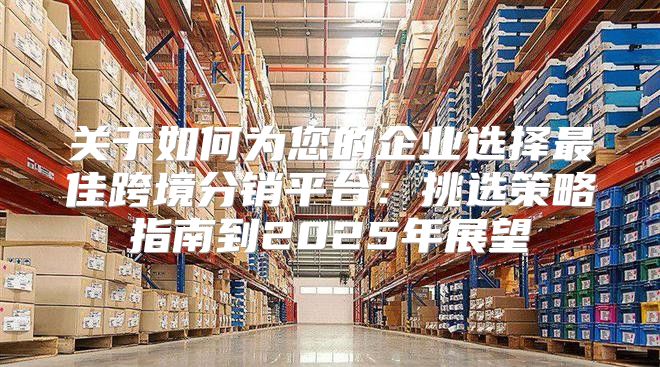 关于如何为您的企业选择最佳跨境分销平台：挑选策略指南到2025年展望