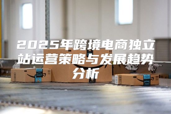 2025年跨境电商独立站运营策略与发展趋势分析