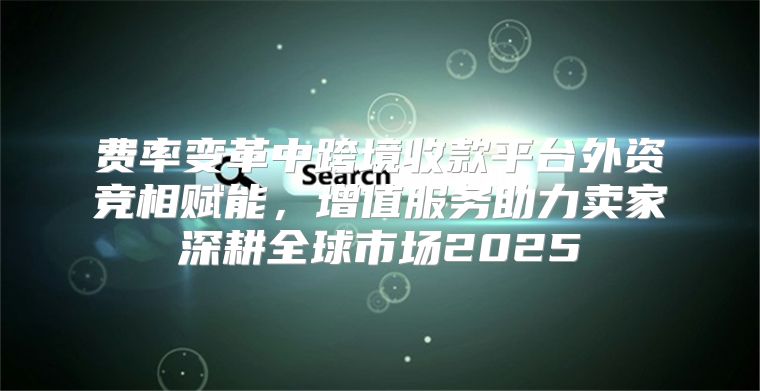 费率变革中跨境收款平台外资竞相赋能，增值服务助力卖家深耕全球市场2025