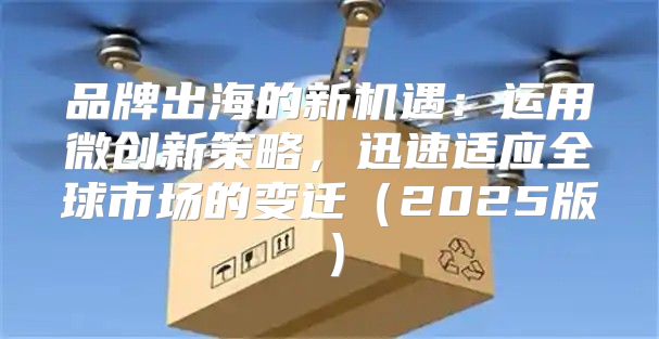 品牌出海的新机遇：运用微创新策略，迅速适应全球市场的变迁2025版