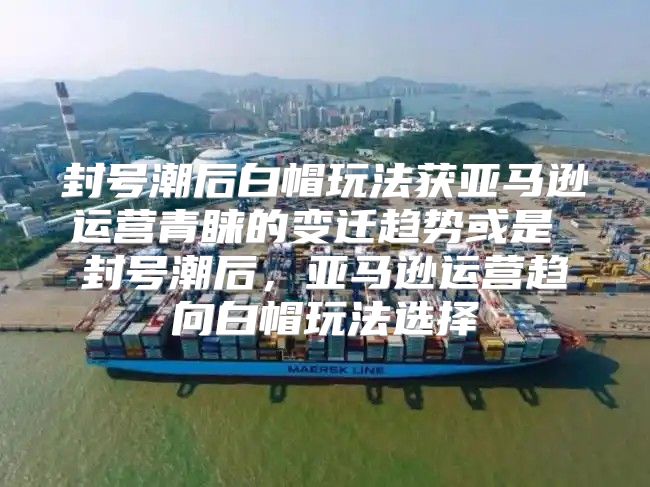 封号潮后白帽玩法获亚马逊运营青睐的变迁趋势或是 封号潮后，亚马逊运营趋向白帽玩法选择