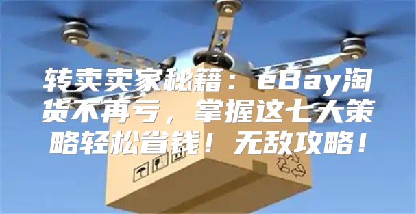 转卖卖家秘籍：eBay淘货不再亏，掌握这七大策略轻松省钱！无敌攻略！