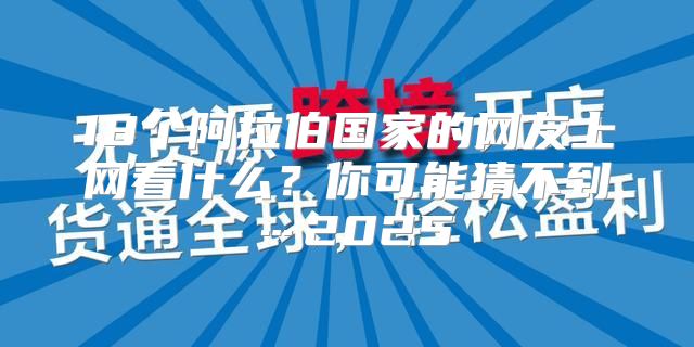 18个阿拉伯国家的网友上网看什么？你可能猜不到…2025
