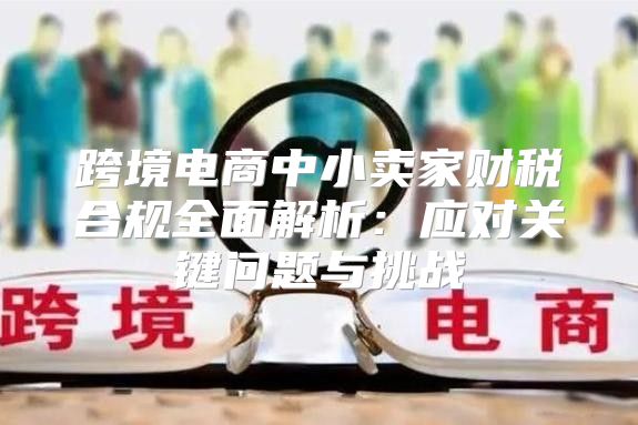 跨境电商中小卖家财税合规全面解析：应对关键问题与挑战