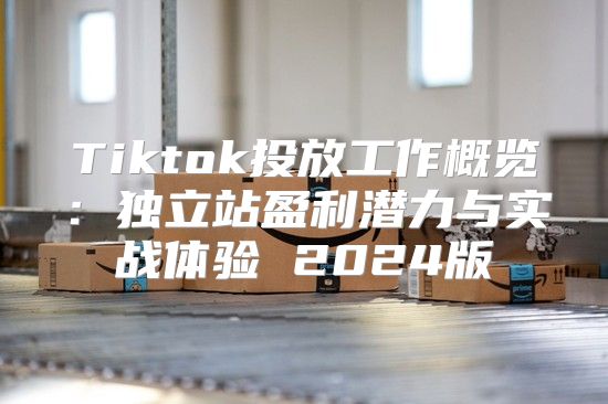 Tiktok投放工作概览：独立站盈利潜力与实战体验 2025版