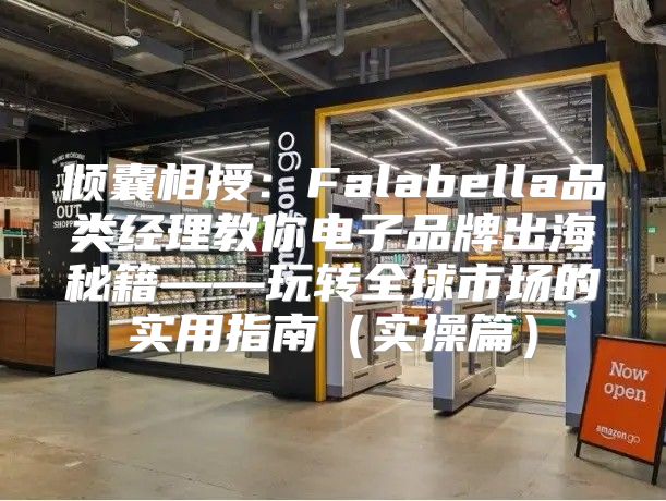 倾囊相授：Falabella品类经理教你电子品牌出海秘籍——玩转全球市场的实用指南实操篇