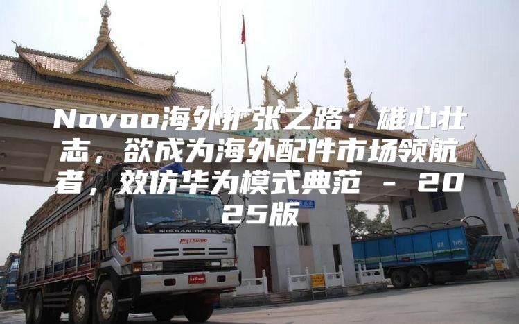 Novoo海外扩张之路：雄心壮志，欲成为海外配件市场领航者，效仿华为模式典范 - 2025版