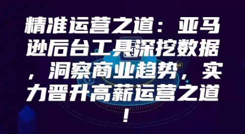 精准运营之道：亚马逊后台工具深挖数据，洞察商业趋势，实力晋升高薪运营之道！