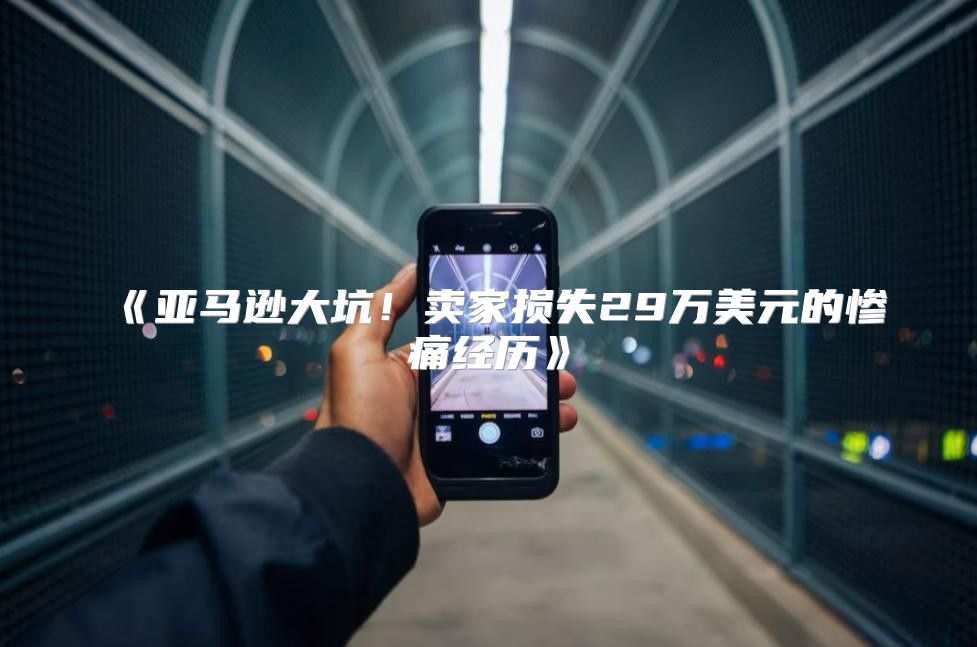 亚马逊大坑！卖家损失29万美元的惨痛经历