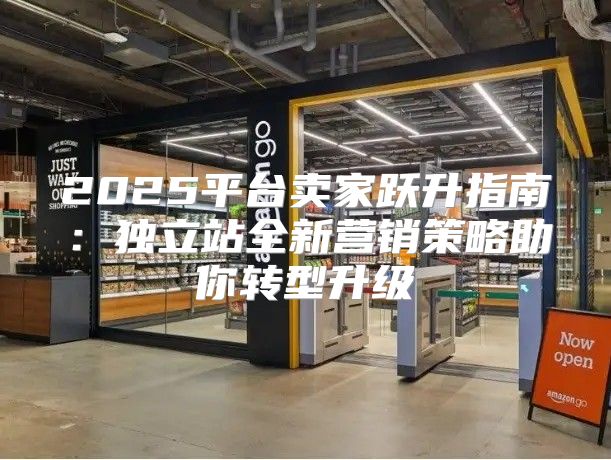 2025平台卖家跃升指南：独立站全新营销策略助你转型升级