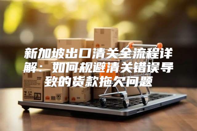 新加坡出口清关全流程详解：如何规避清关错误导致的货款拖欠问题