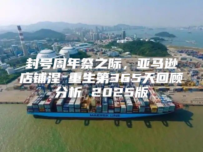 封号周年祭之际，亚马逊店铺涅槃重生第365天回顾分析 2025版
