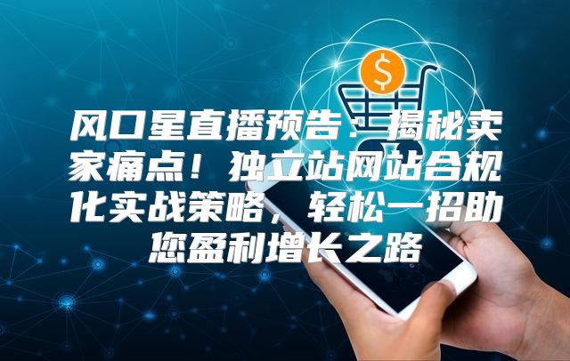 风口星直播预告：揭秘卖家痛点！独立站网站合规化实战策略，轻松一招助您盈利增长之路