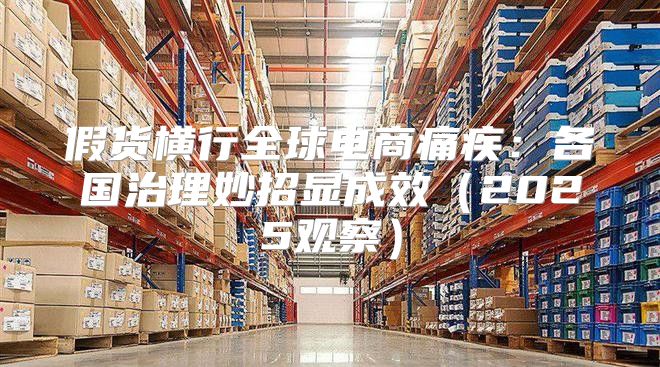 假货横行全球电商痛疾：各国治理妙招显成效2025观察