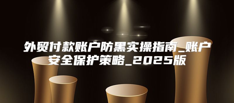 外贸付款账户防黑实操指南_账户安全保护策略_2025版