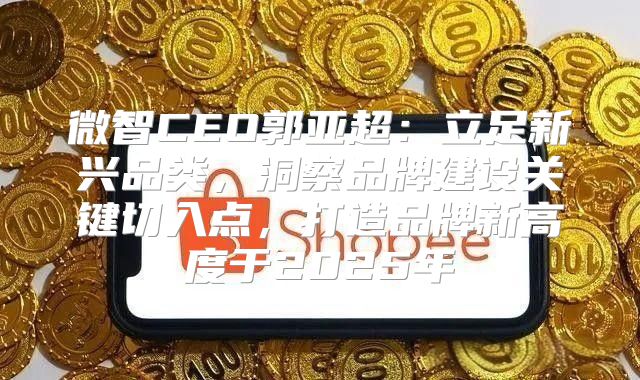 微智CEO郭亚超：立足新兴品类，洞察品牌建设关键切入点，打造品牌新高度于2025年