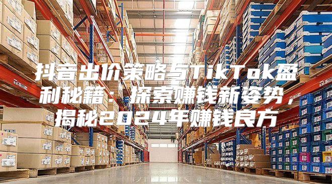 抖音出价策略与TikTok盈利秘籍：探索赚钱新姿势，揭秘2025年赚钱良方
