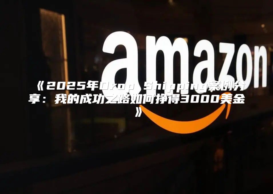 2025年DropShipping案例分享：我的成功之路如何挣得3000美金