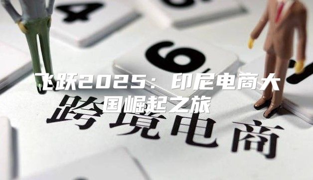 飞跃2025印尼电商大国崛起之旅