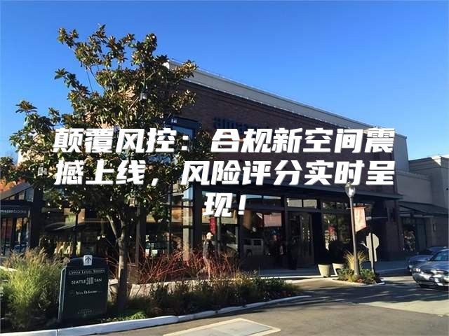 颠覆风控：合规新空间震撼上线，风险评分实时呈现！
