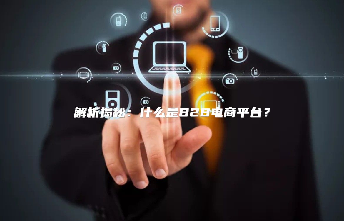解析揭秘：什么是B2B电商平台？