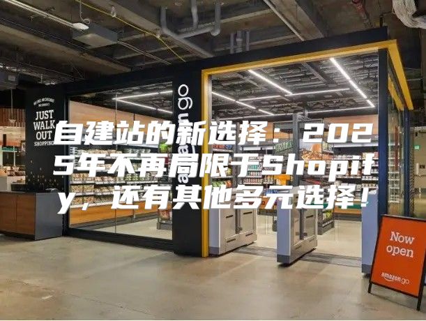 自建站的新选择：2025年不再局限于Shopify，还有其他多元选择！