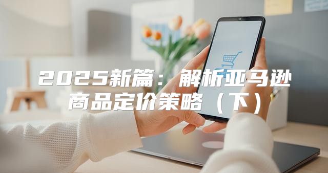 2025新篇：解析亚马逊商品定价策略下