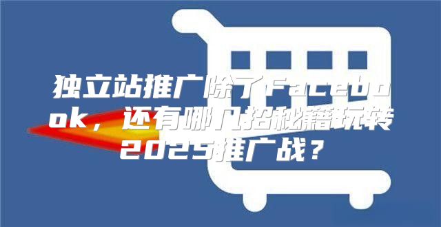 独立站推广除了Facebook，还有哪几招秘籍玩转2025推广战？