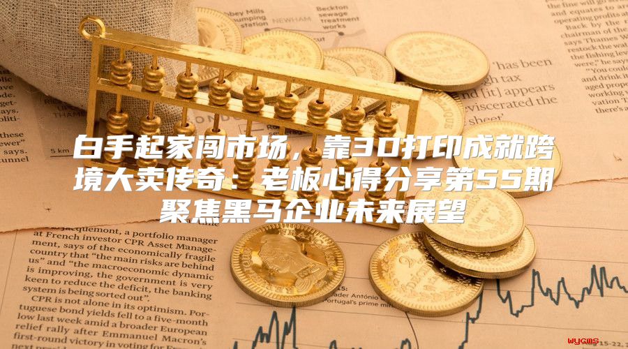 白手起家闯市场，靠3D打印成就跨境大卖传奇：老板心得分享第55期聚焦黑马企业未来展望