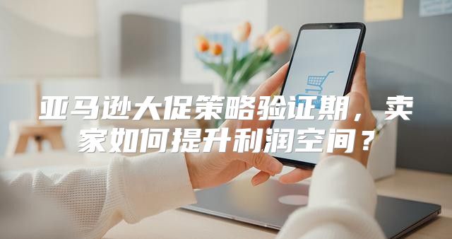 亚马逊大促策略验证期，卖家如何提升利润空间？