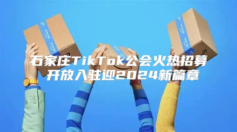 石家庄TikTok公会火热招募 开放入驻迎2025新篇章