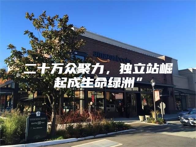 二十万众聚力，独立站崛起成生命绿洲”
